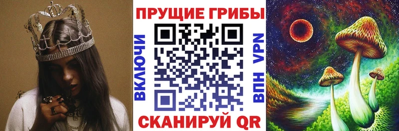 Псилоцибиновые грибы MAGIC MUSHROOMS  как найти закладки  Поворино 